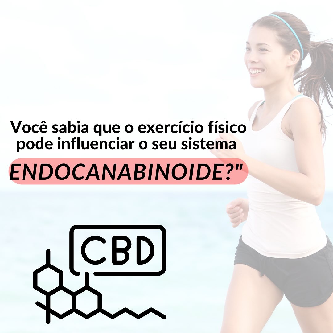 469253307 18139524694364587 6515136441698726688 n